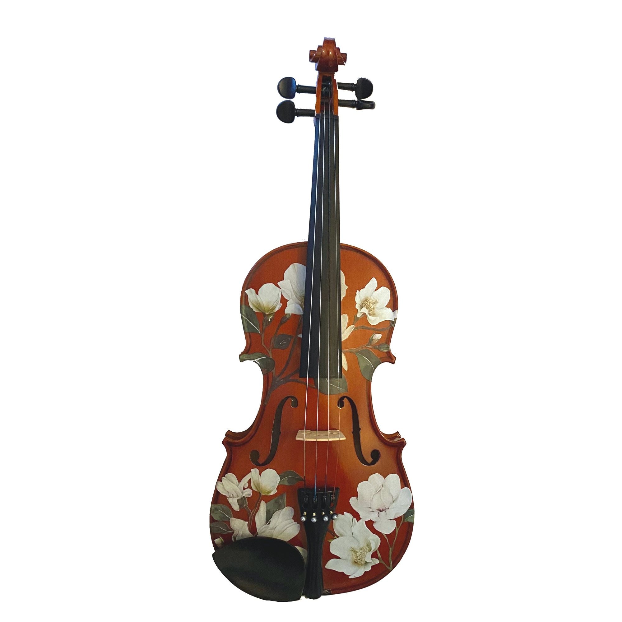 Rozannas-Violins - Because Playing Violin Is No Ordinary ...