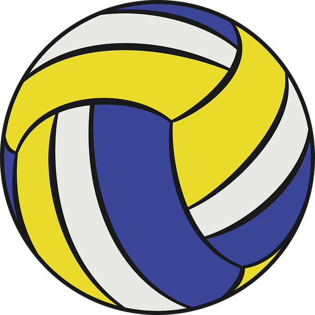 Volleyball Ball Sport - Kostenlose Vektorgrafik auf Pixabay