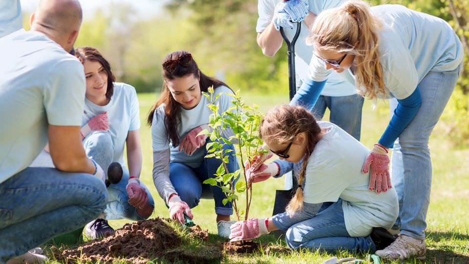 Volunteer Work: Welcome to Rheinland-Pfalz!