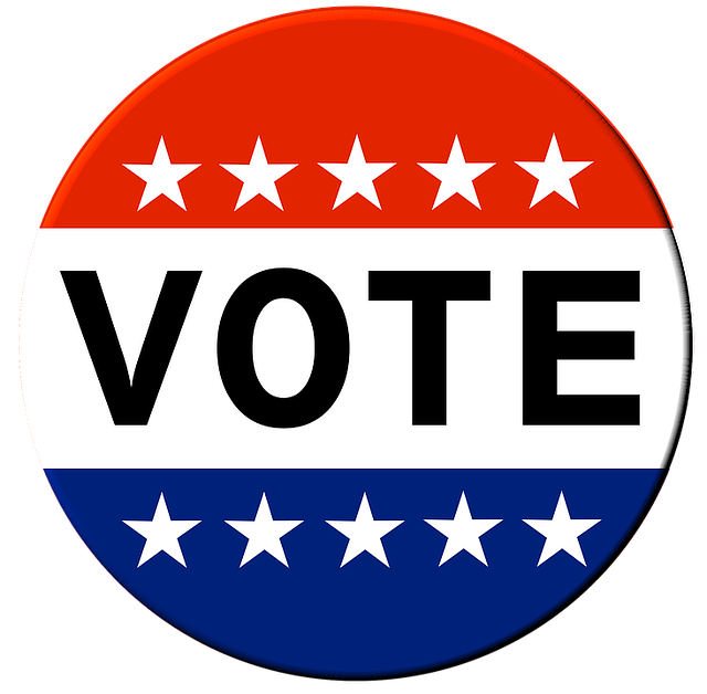 800+ Free Vote &amp; Election Images - Pixabay