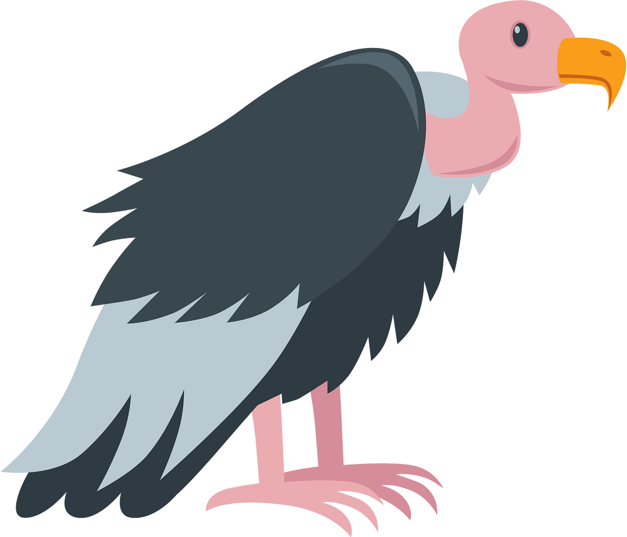 vulture cliparts