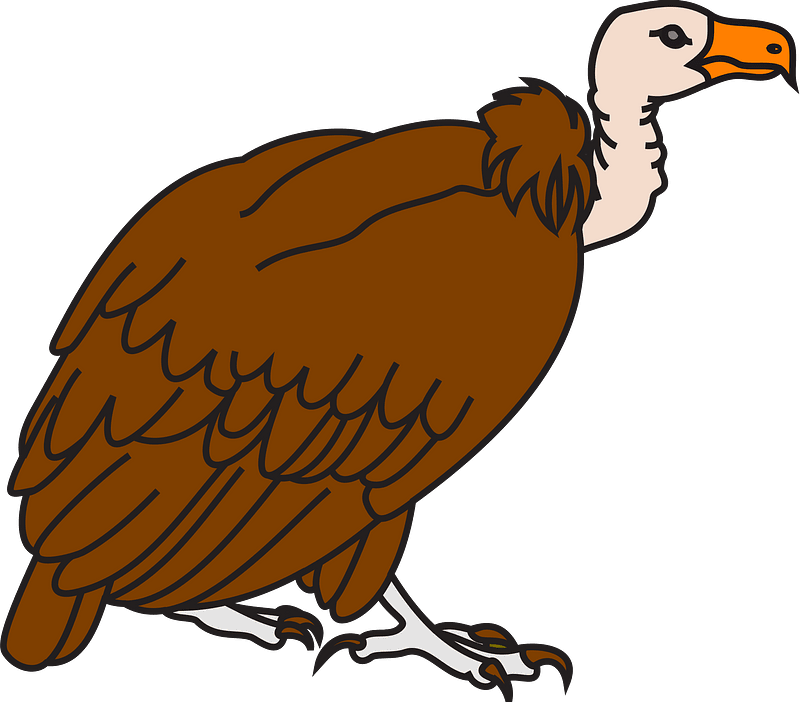 vulture cliparts