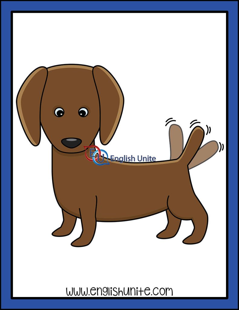 English Unite - Magic E - Wag (Dog)