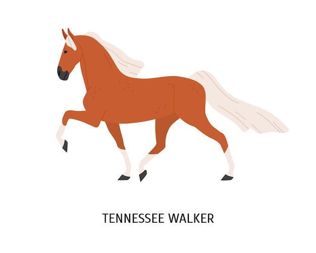 walking horse cliparts