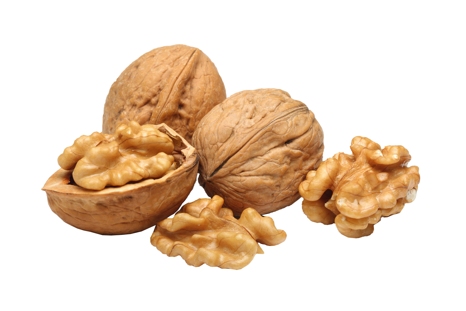 Walnut PNG transparent image download, size: 1600x1067px