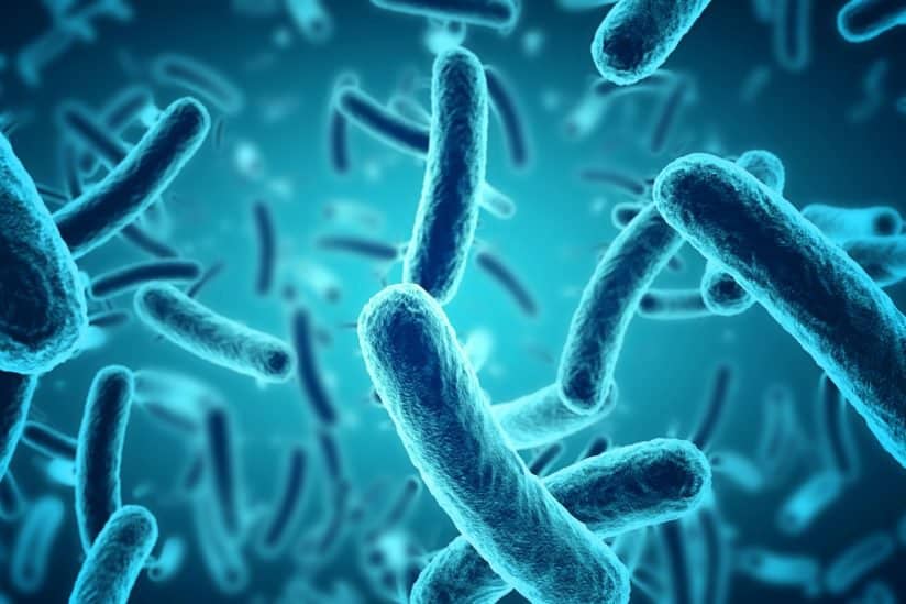 Bacteria in Drinking Water Test | Southern Scientific Ireland