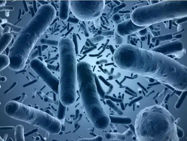 water bacterias