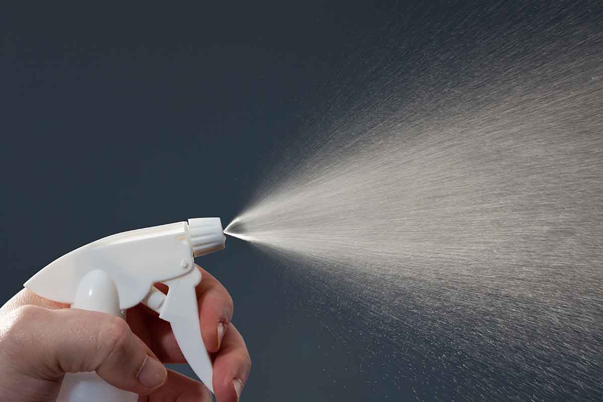 Squelch The Squirt: Why Spraying Water Doesnt Work To Train Your ...