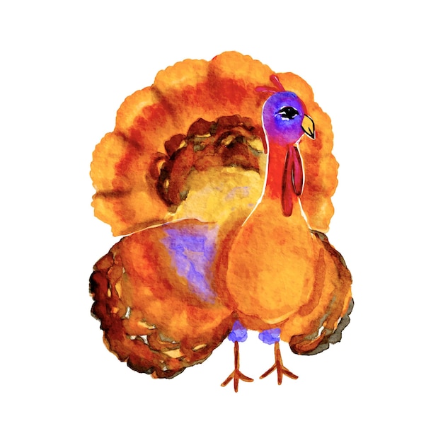 watercolor turkey cliparts
