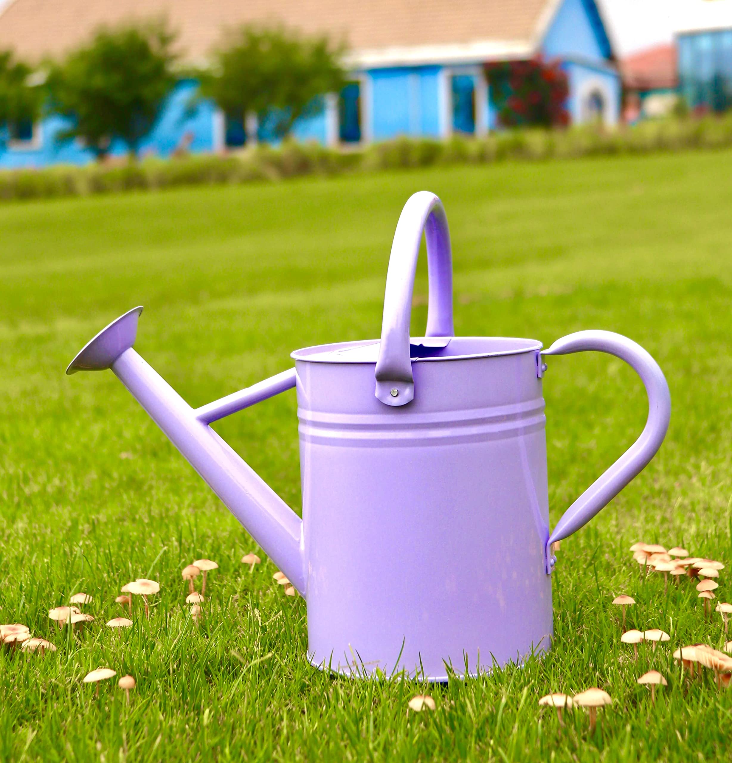 watering can picture