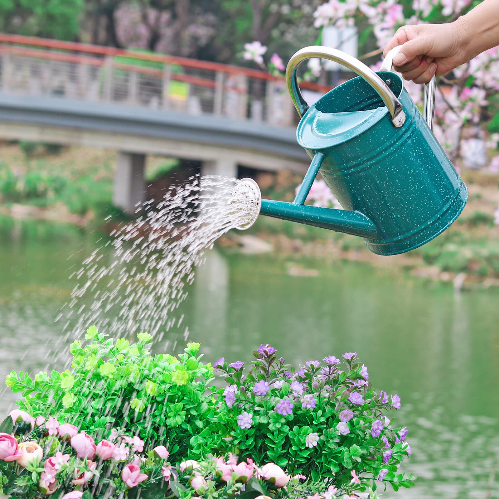 watering can pictures