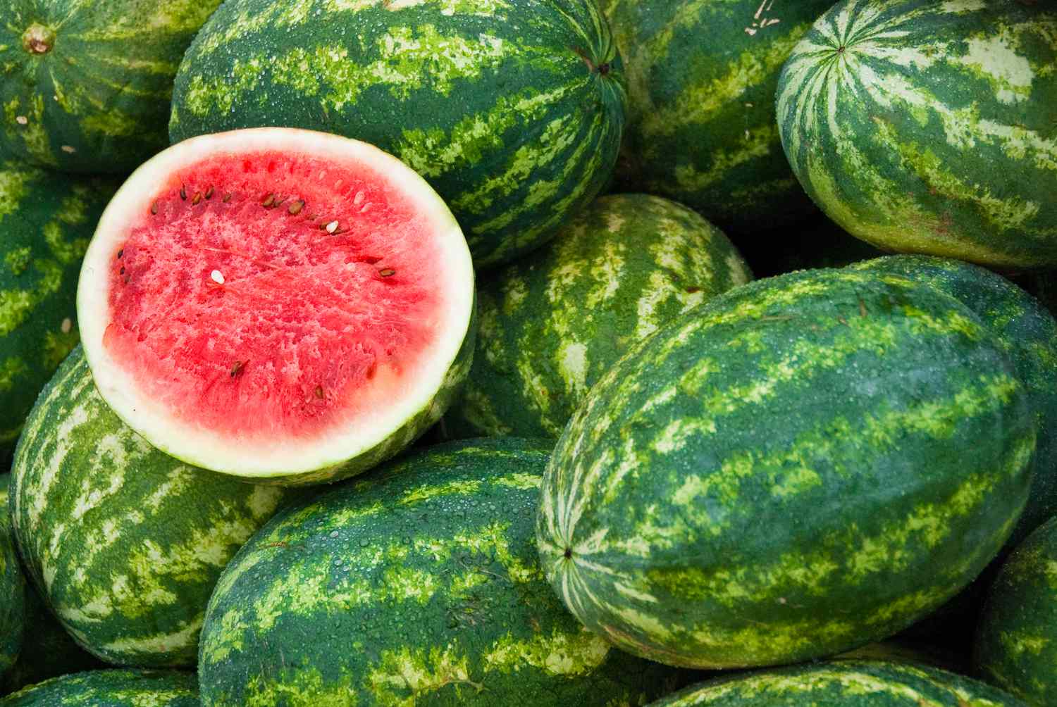 watermellon pictures