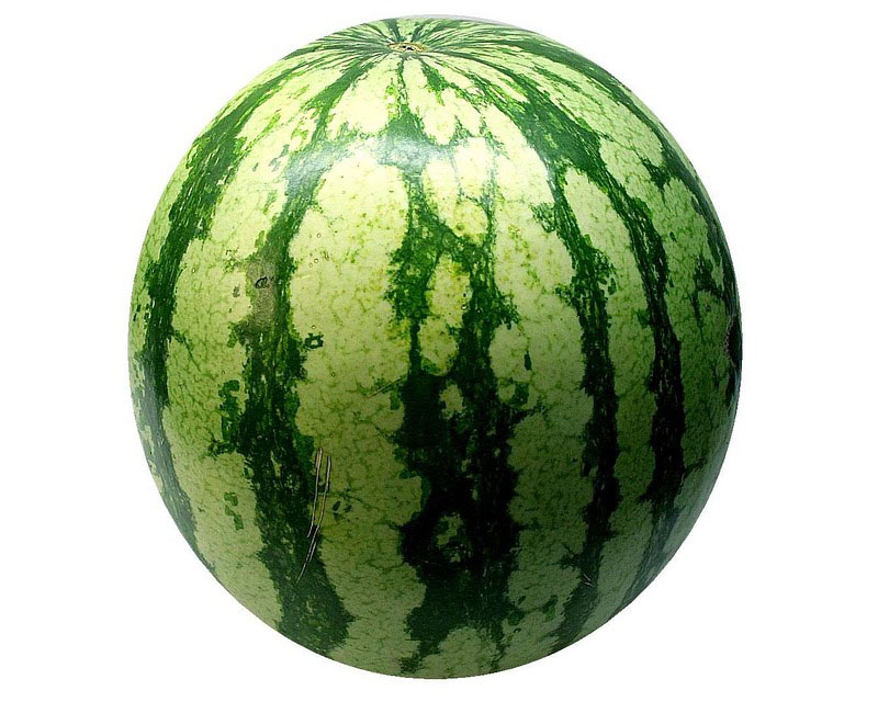 Overview - Watermelon