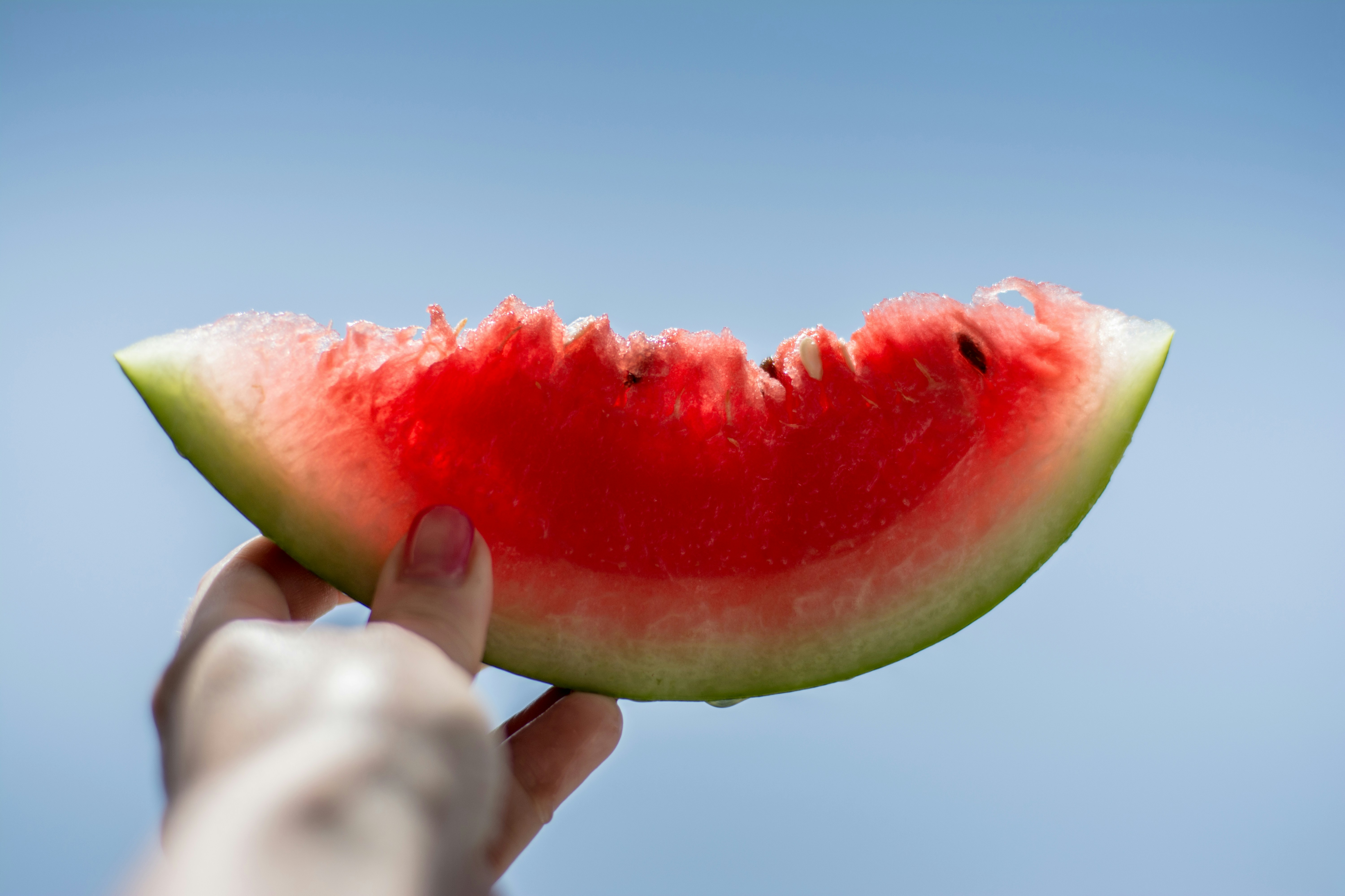 watermelon images