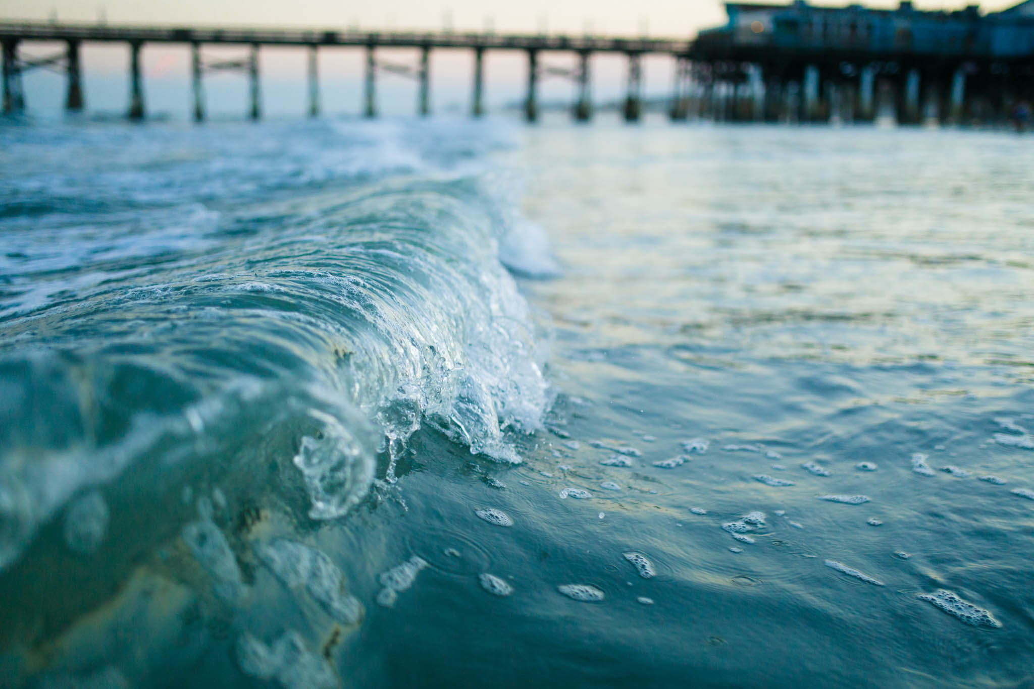 Daves Wavess 021