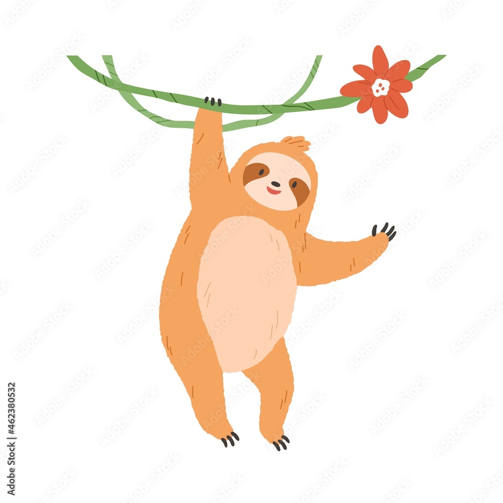 Poster, Wandbilder Cute little monkey hanging from a tree limb waving  toward the camera on a white background, 40x30 cm