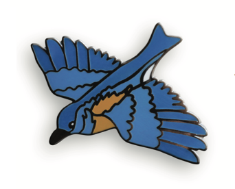 Western Bluebird – Tree of Life Nursery
