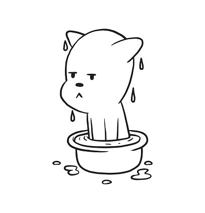 Cute Little Cat Sitting In Basin With Water, Monochrome Style ...