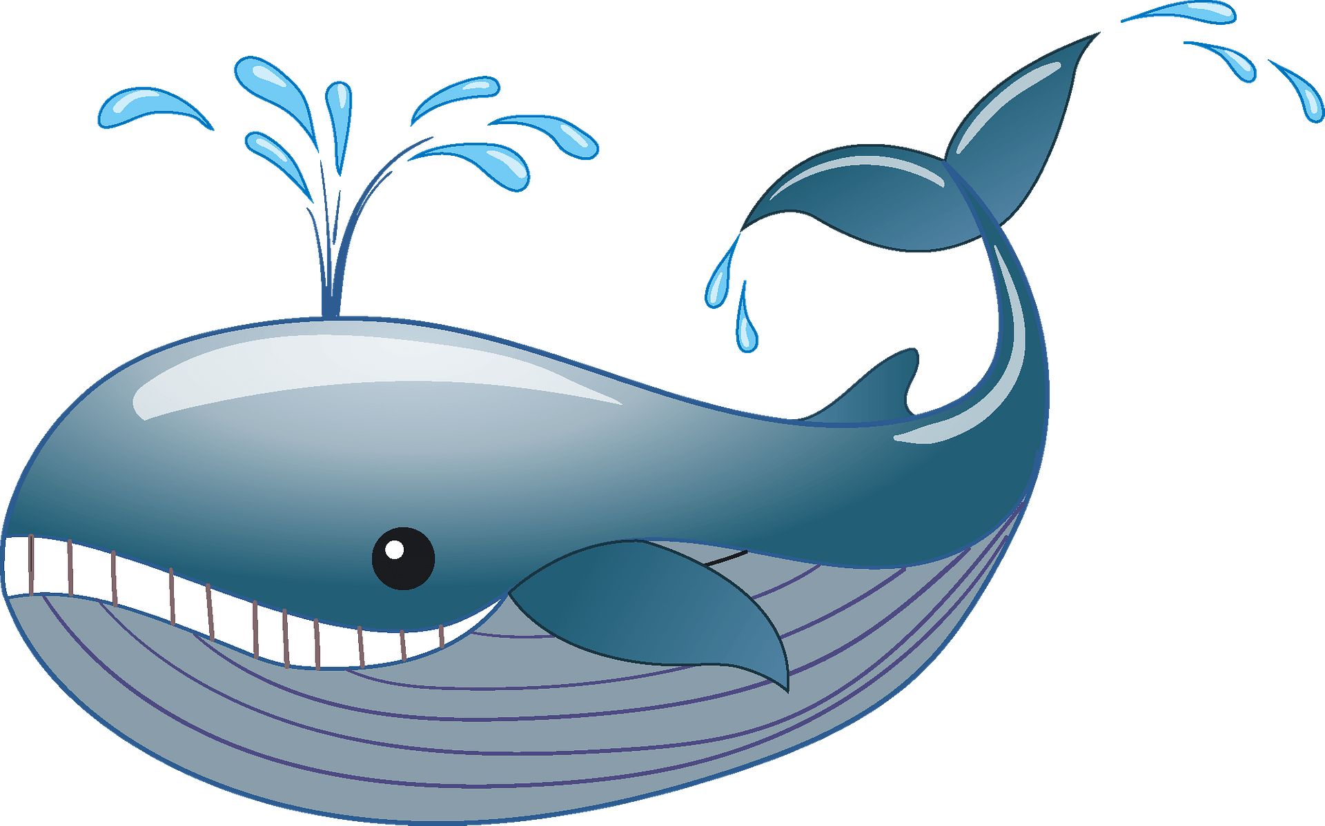 whale cliparts