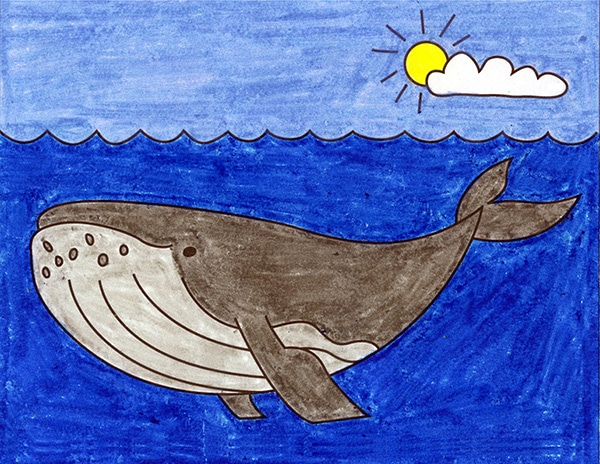 whale drawing for kids