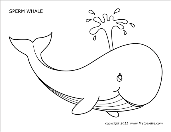 whale pictures to color