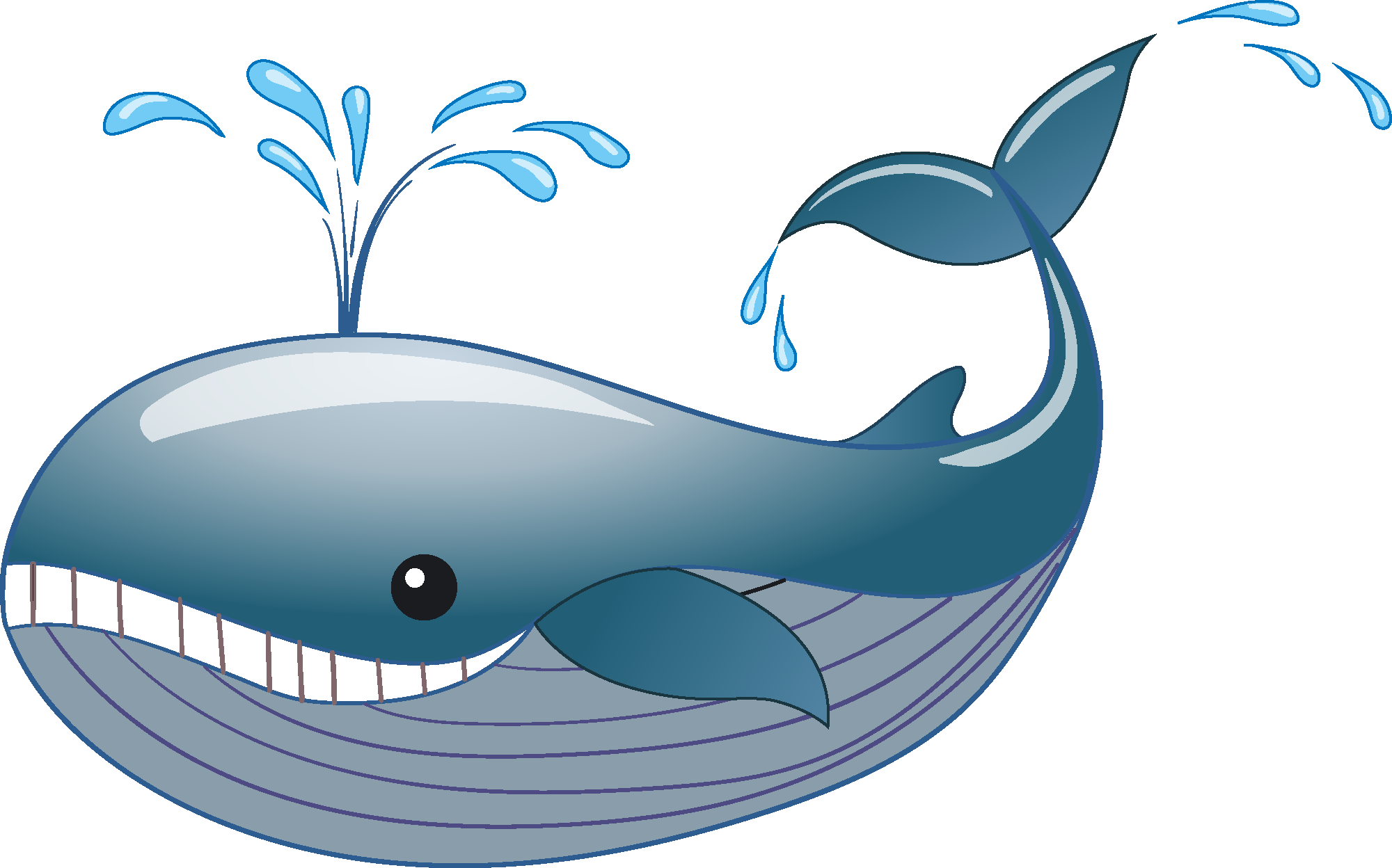 whales cliparts