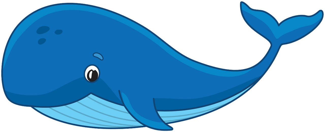 whales cliparts