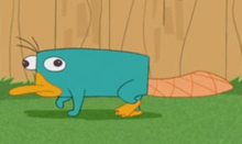 what color is perry the platypus