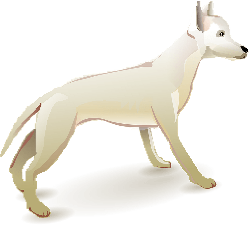 white dog clipart