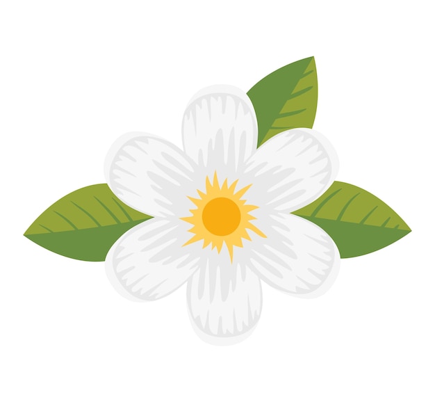 white flower clipart