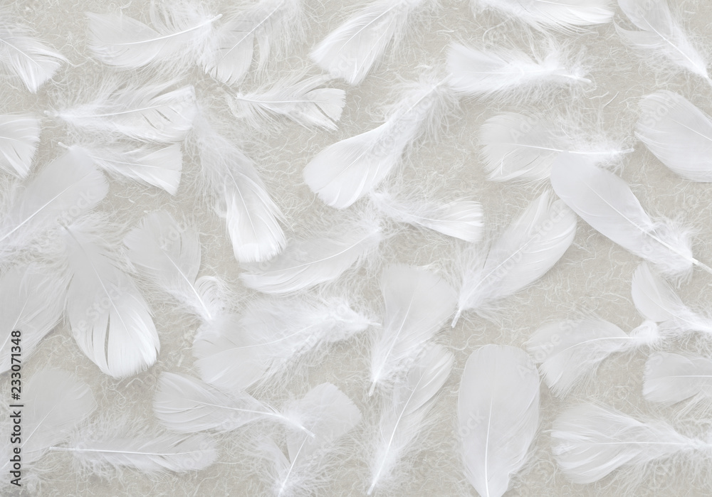 Angelic White feather background - small fluffy white feathers ...