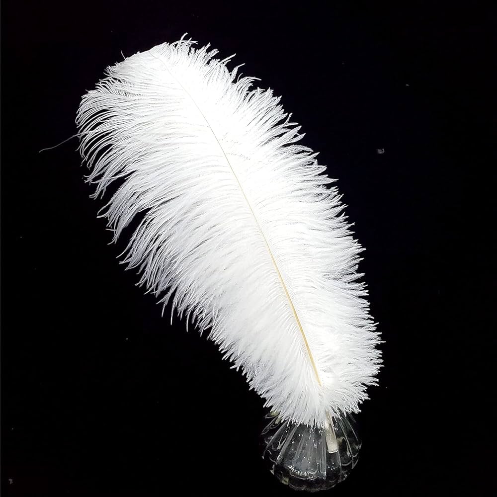 Happy Feather Ostrich Feathers 16-18 Inch Wedding Party Decoration ...