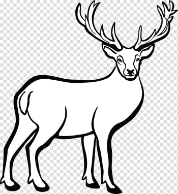 whitetail deer clipart
