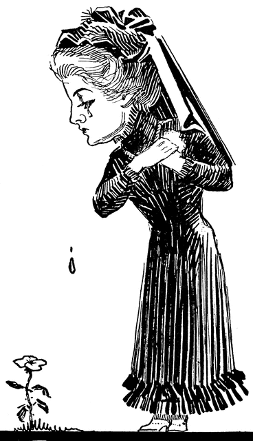 Widow-Bird | ClipArt ETC