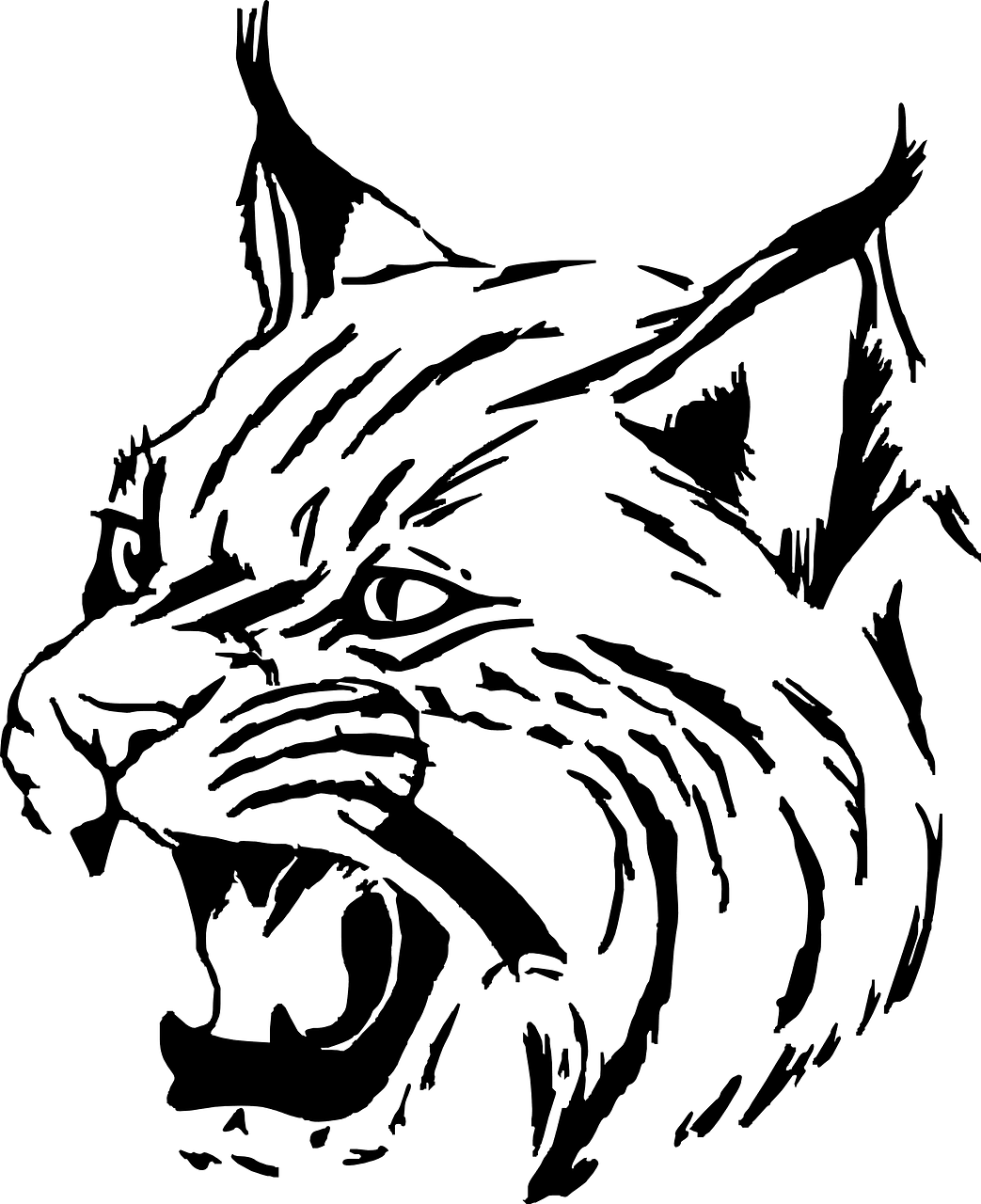 wildcat face cliparts