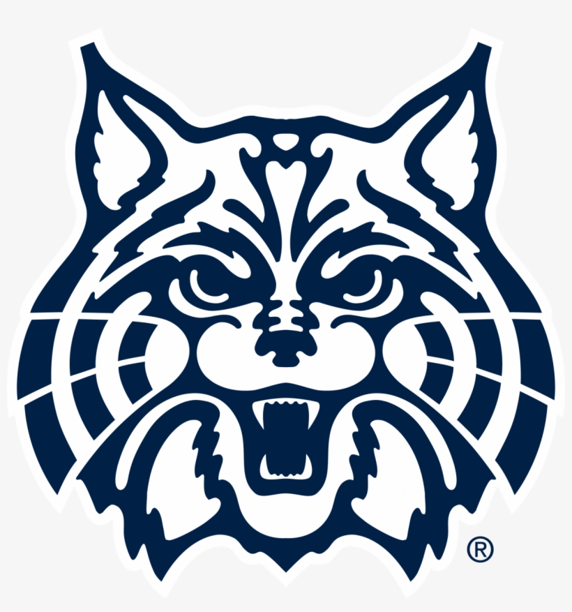 Download Wildcat Clipart Face - Arizona Wildcat PNG Image with No ...