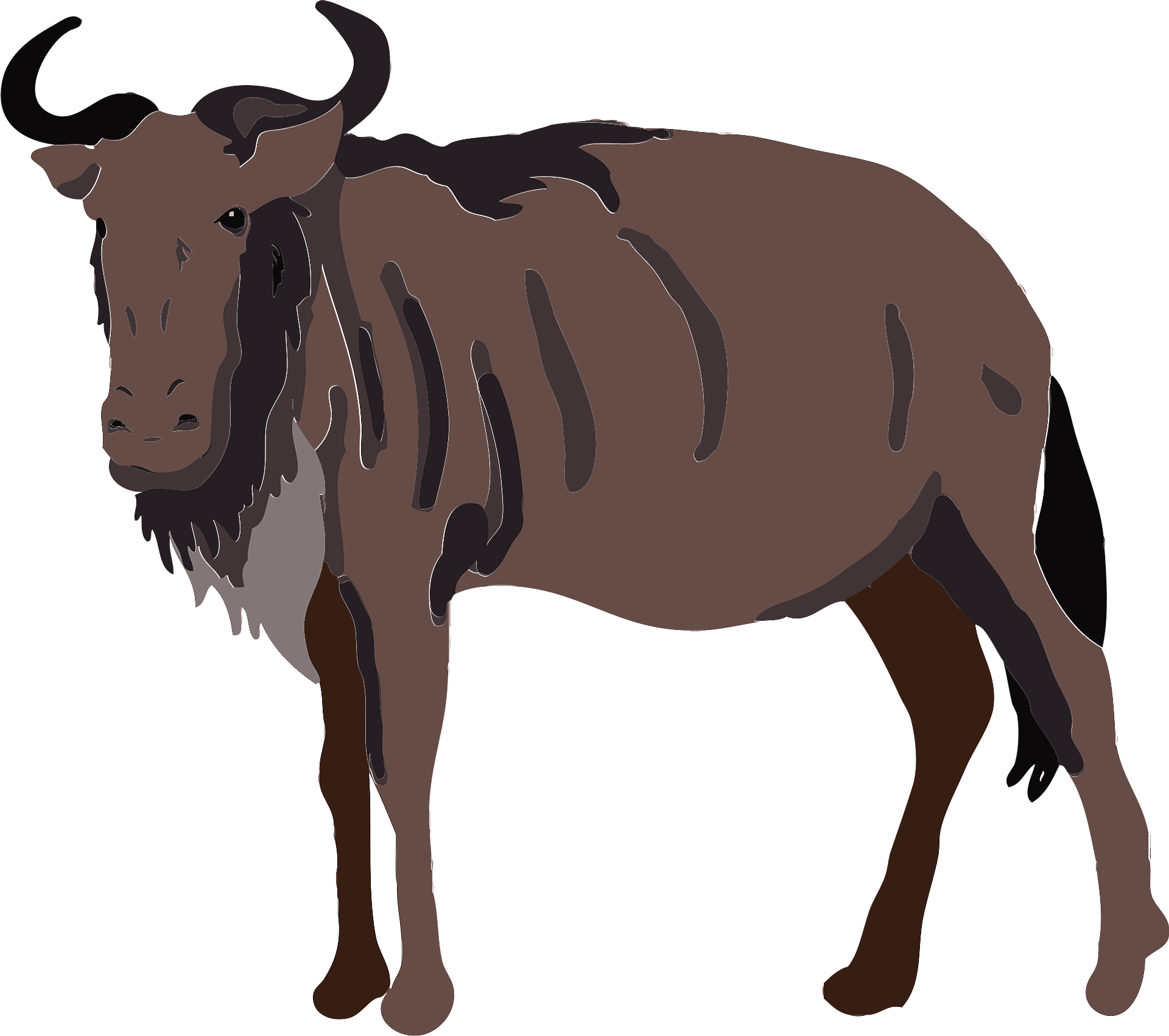 Blue wildebeest animal - Free vector clipart images on clipart library.com