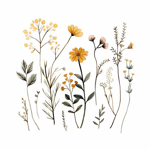 wildflower cliparts