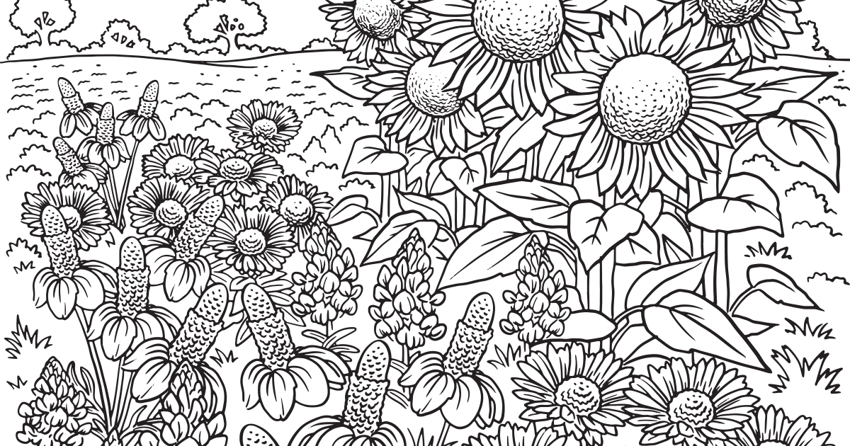 wildflower coloring pages