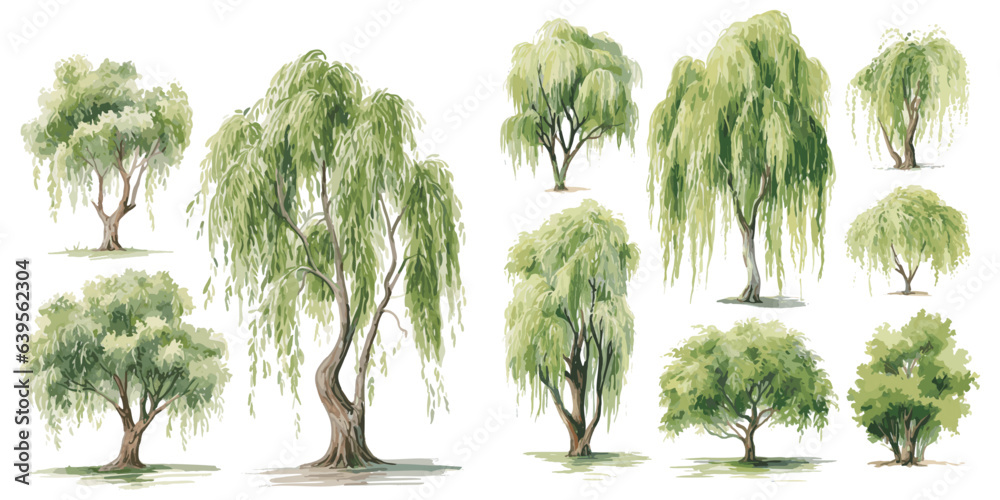 Poster, Wandbilder watercolor willow tree clipart for graphic resources,  40x20 cm