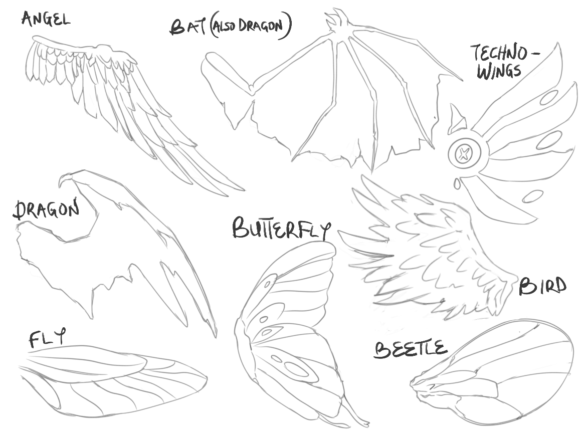 wings drawing