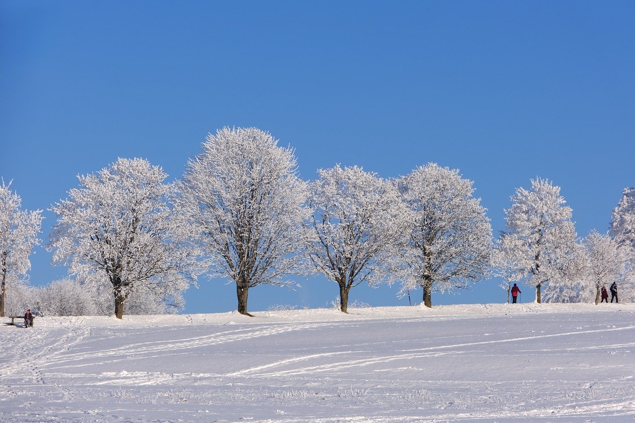 winter pictures free