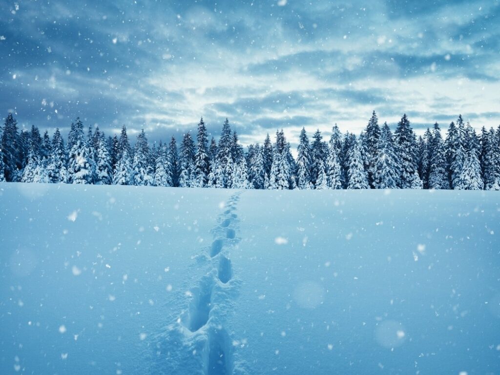 Winter Scenes | Celebrating the Beauty of Winter | Art &amp; Home