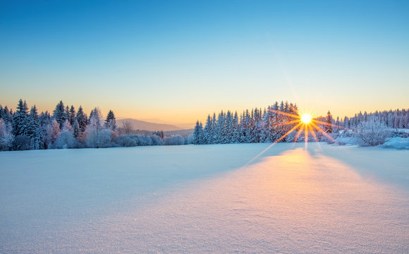 Winter Sun Images – Browse 2,205,642 Stock Photos, Vectors, and ...