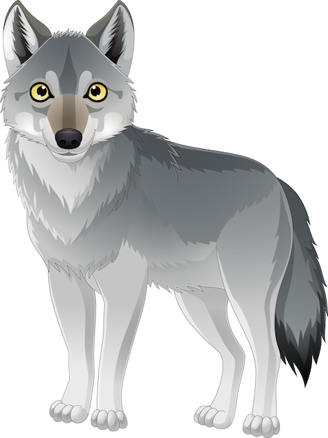Wolf Clipart Images - Free Download on clipart library