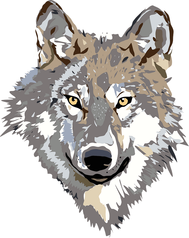 Wolf - Free vector clipart images on clipart library.com