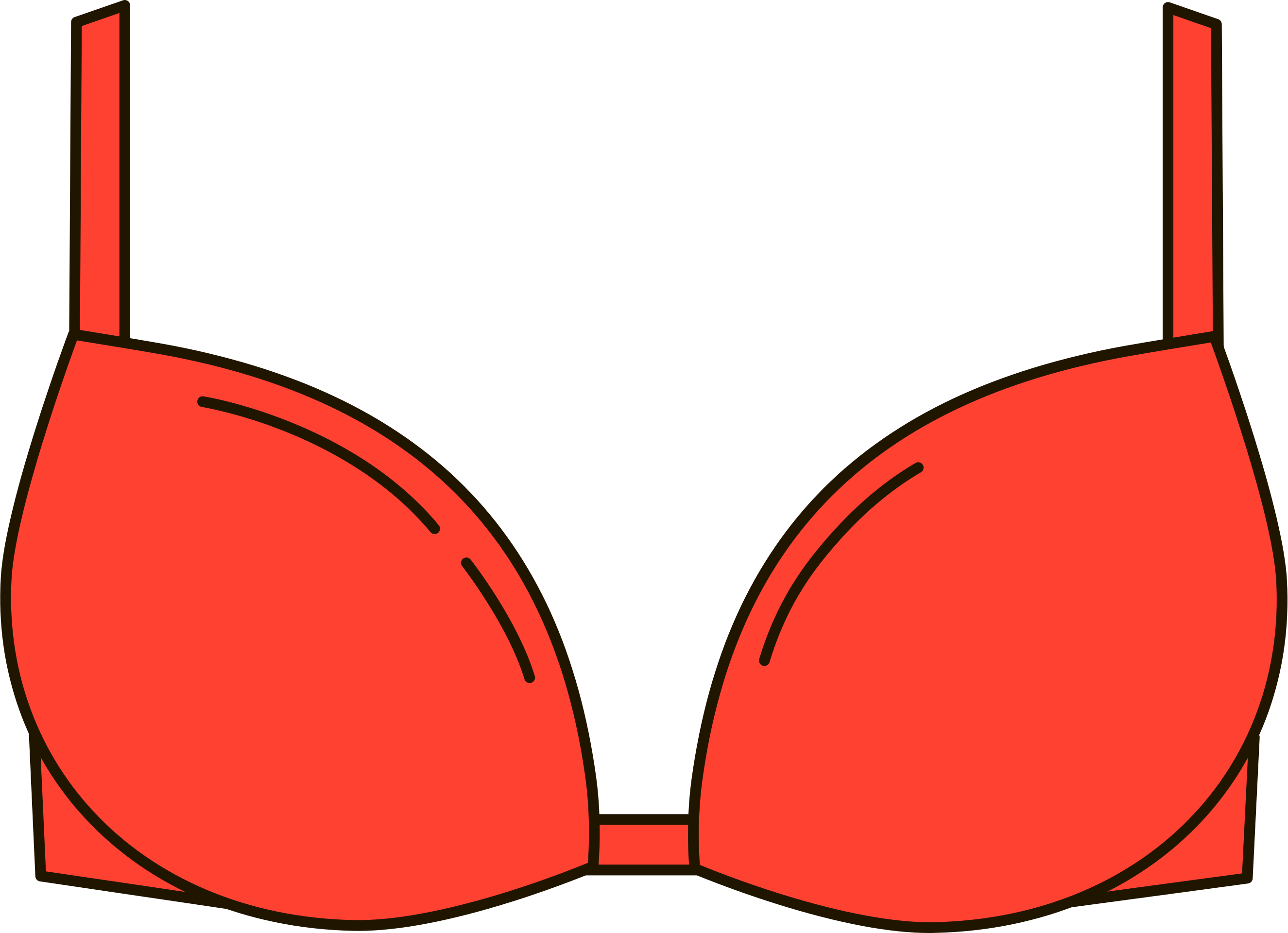 womans bra cliparts