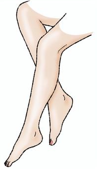 womens legs cliparts