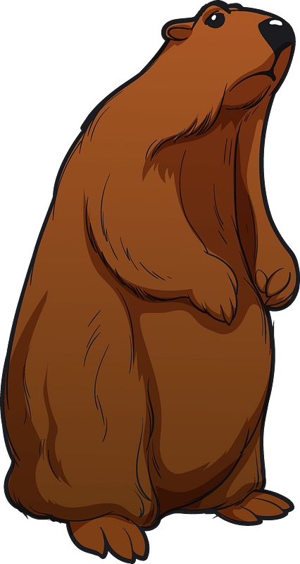 Groundhog - Free vector clipart images on clipart library.com
