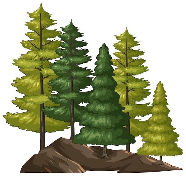 Woods Clipart Images - Free Download on clipart library
